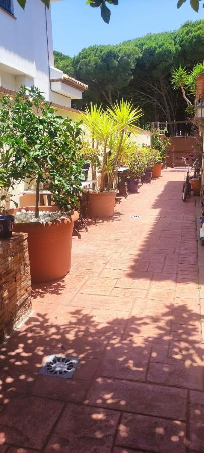 Chalet con capacidad para 8 personas Chiclana de la Frontera Bagian luar foto